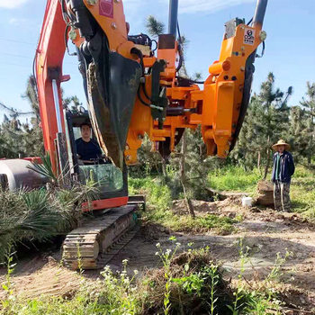 Excavator tree digging machine in stock modified with tree digging head large hydraulic big tree crawler tree moving machine with soil ball