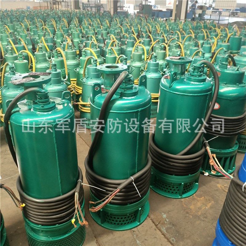 严选煤矿用隔爆f型排沙潜水电泵 BQS80-190/2-90KW 防爆潜污泵66.