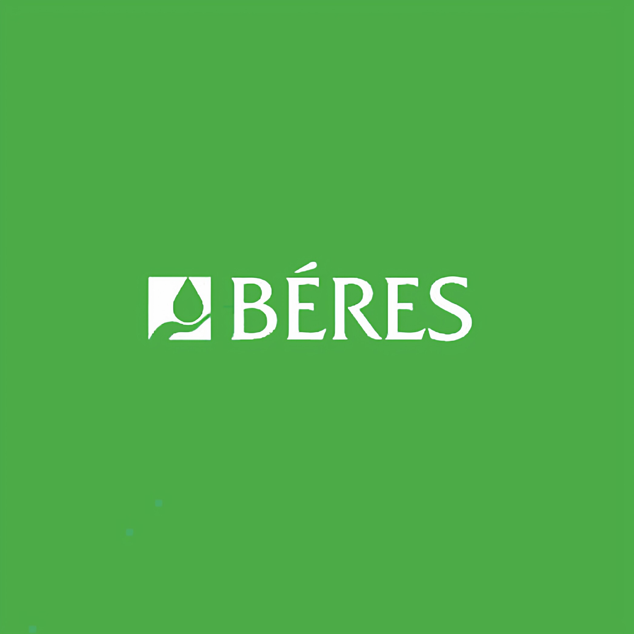 BERES海外旗舰店的LOGO