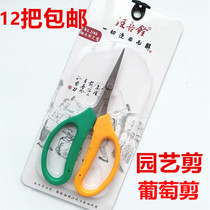 Wang Wuquan stainless steel tilted head grape scissors 2108 Garden gardening fruit branch pruning household fruit tree branch scissors