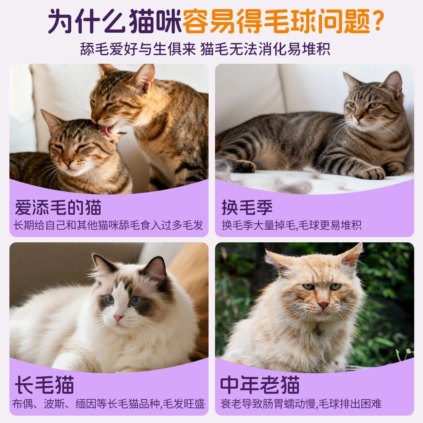 🐾解救猫咪的毛球烦恼 | 宠小盾猫草化毛片🌟-猫化毛膏-淘宝好物网