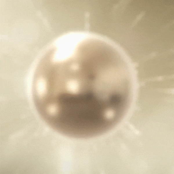 P_018.gif