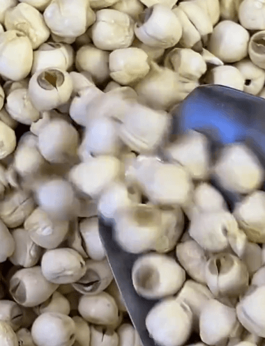 07.gif
