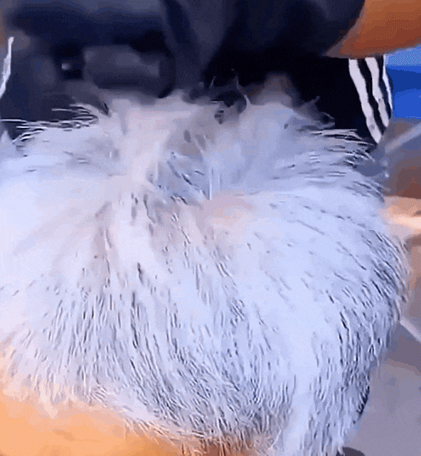 20260615_141721_018.gif