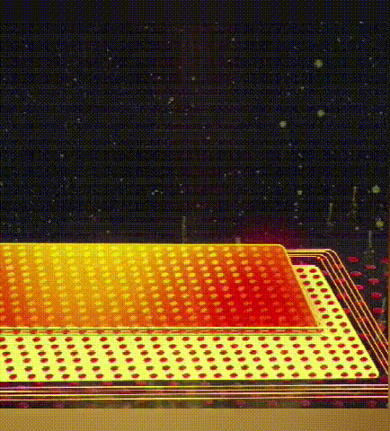 P_006.gif