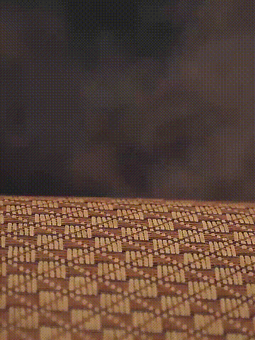 10015.gif