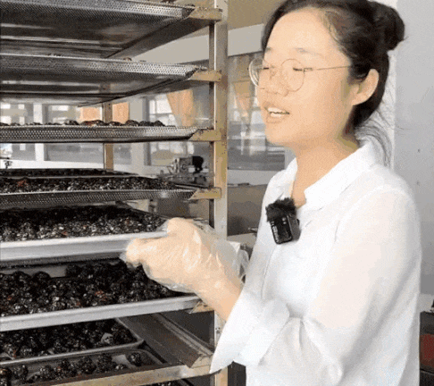 P_028.gif