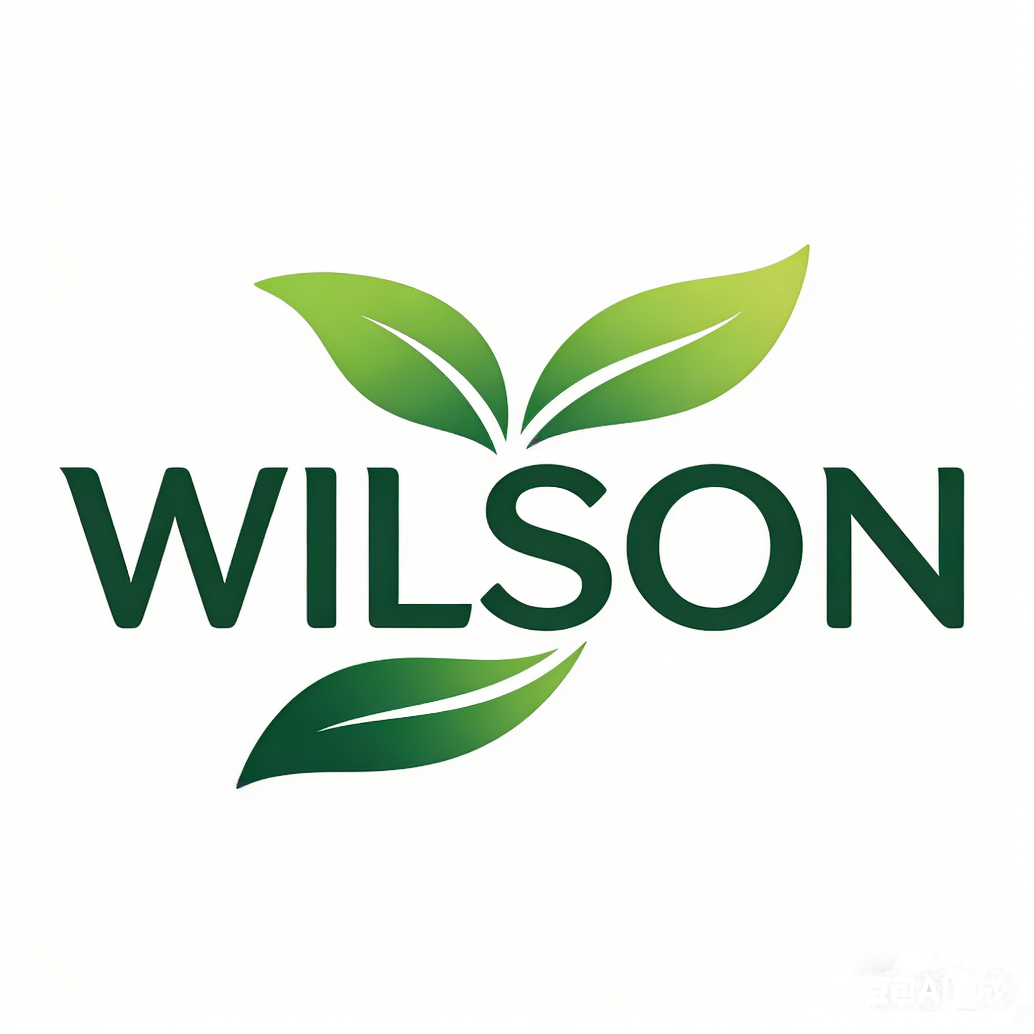 WILSON保健海外专营店