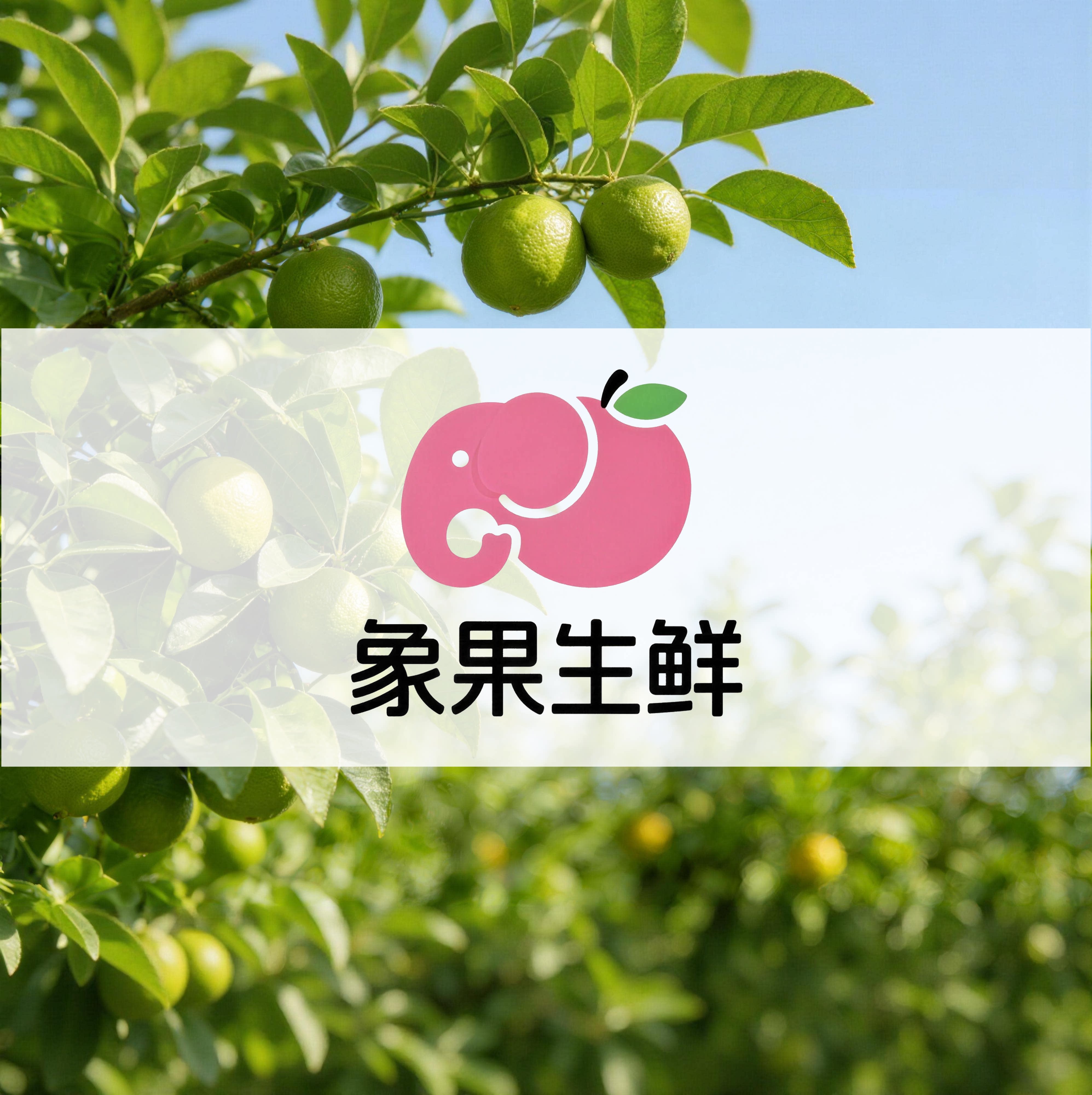 象果生鲜的LOGO