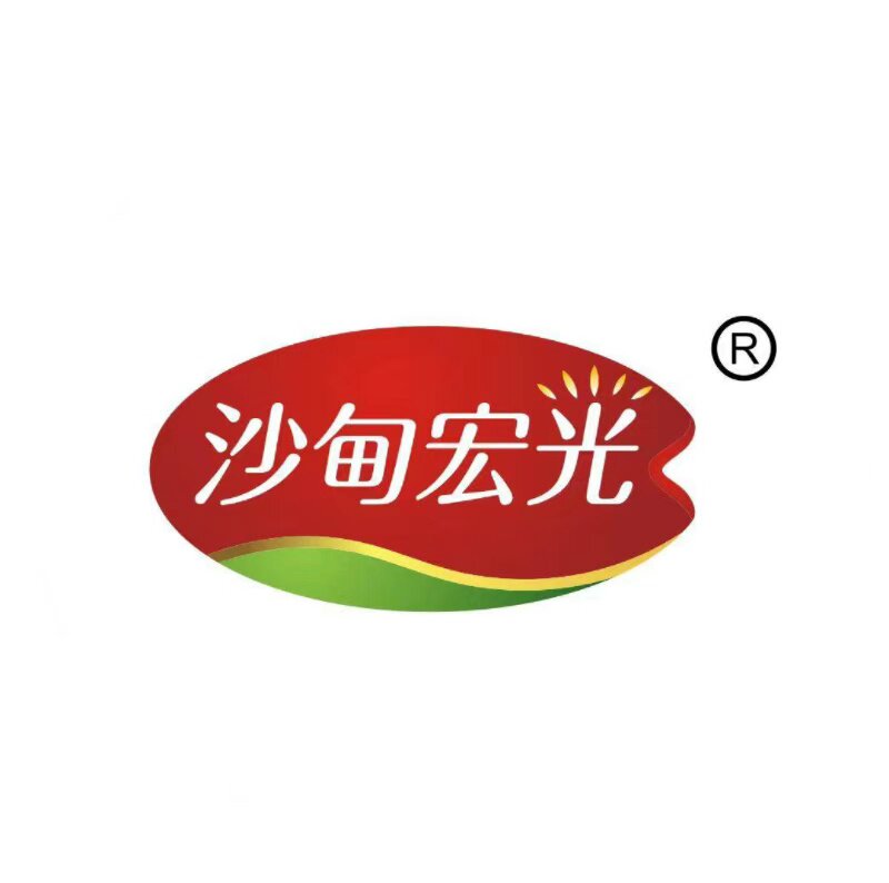 沙甸宏光旗舰店