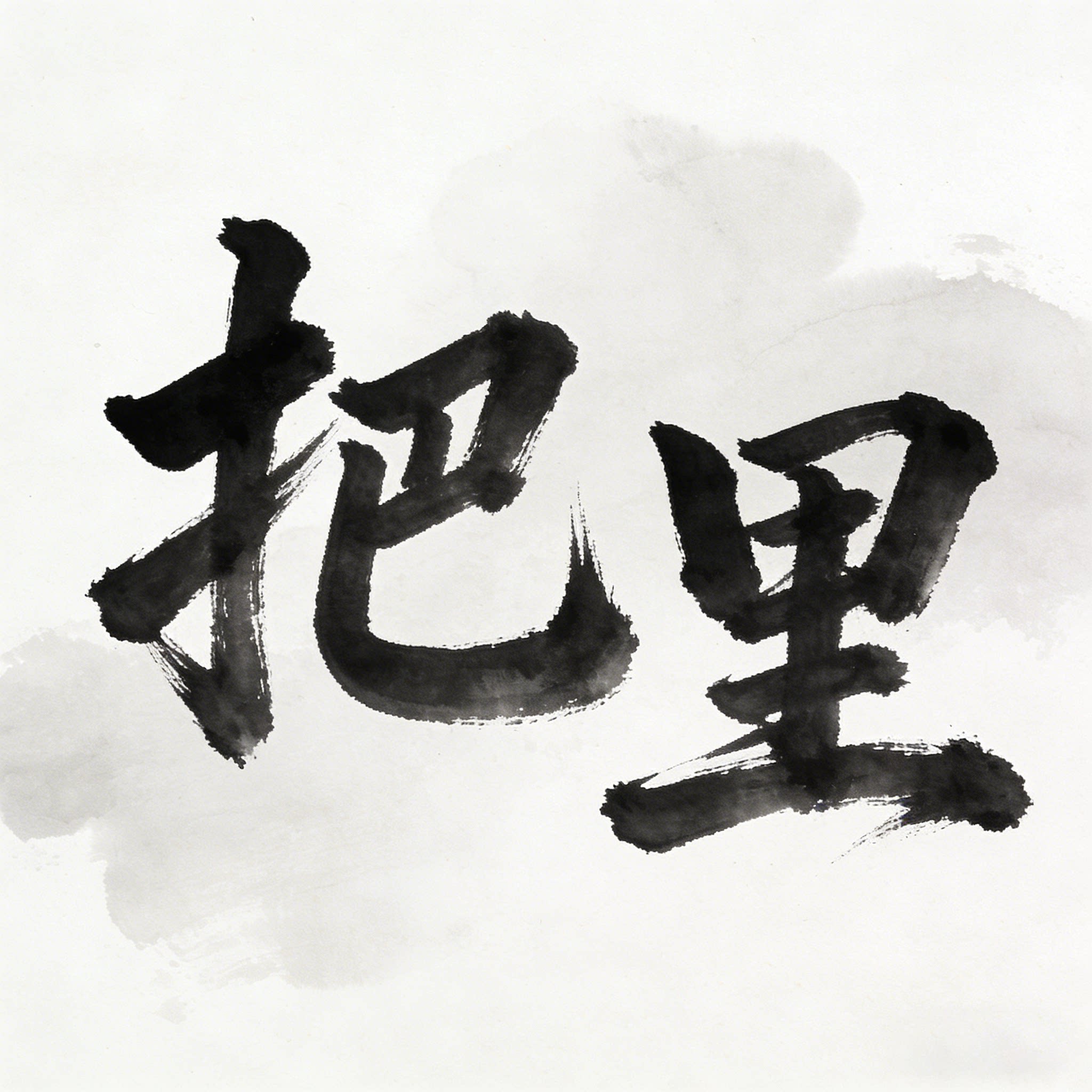 把里如画艺术舫的LOGO
