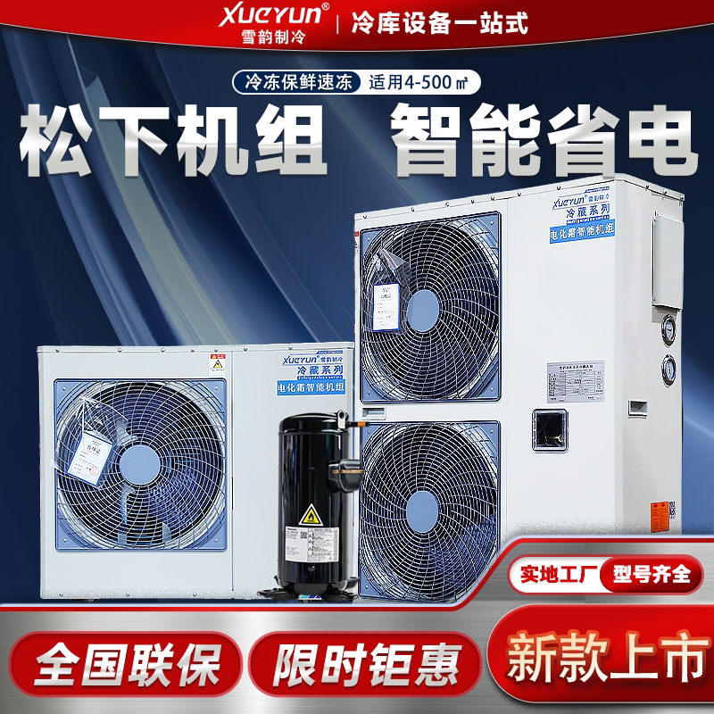 Complete Cold Storage Equipment Refrigeration Unit Songyang Quick-Frozen Meat and Fruit and Vegetable Preservation Compressor 3P Fully Enclosed All-In-One Machine