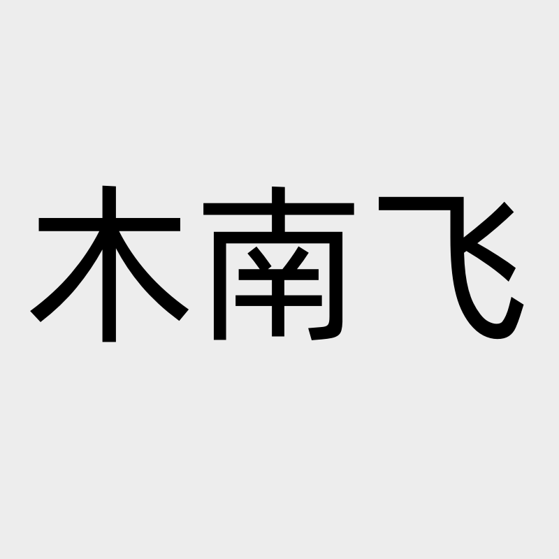 木南飞童鞋旗舰店的LOGO