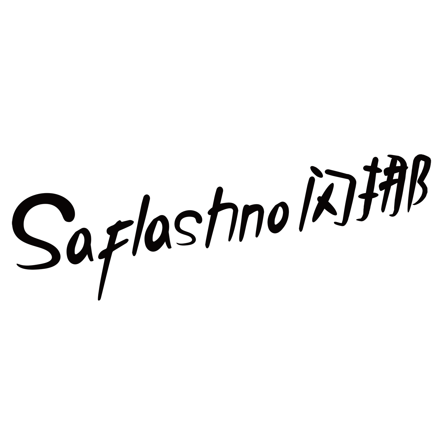 saflashno闪挪的LOGO