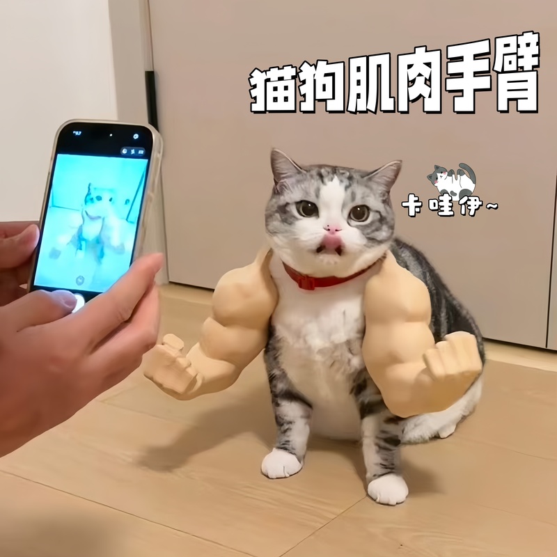 Cat and Dog Muscle Arm 3D Printed Hulk Arm Stress Relief Toy Cat Cos Creative Prank Neck Decoration