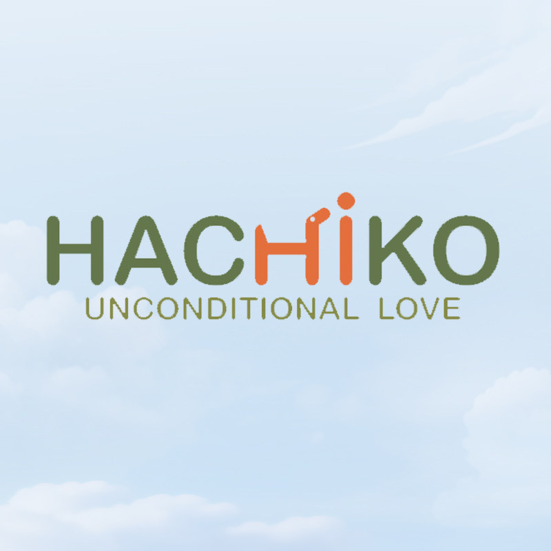 Hachiko旗舰店