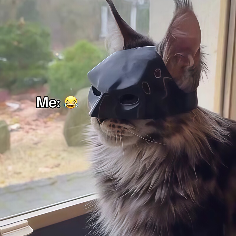 Batman Mask Kitten Accessories Pet Funny Stylish Helmet Costume Headgear Creative Avengers Fashion Mask Batman Mask Kitten Accessories Pet Funny Stylish Helmet Costume Headgear Creative Avengers Fashion Mask