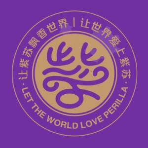 桦油极畅专卖店的LOGO