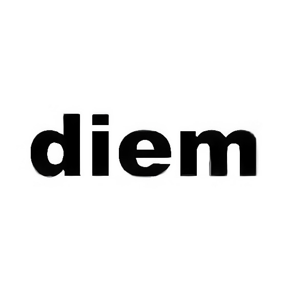 DIEM旗舰店