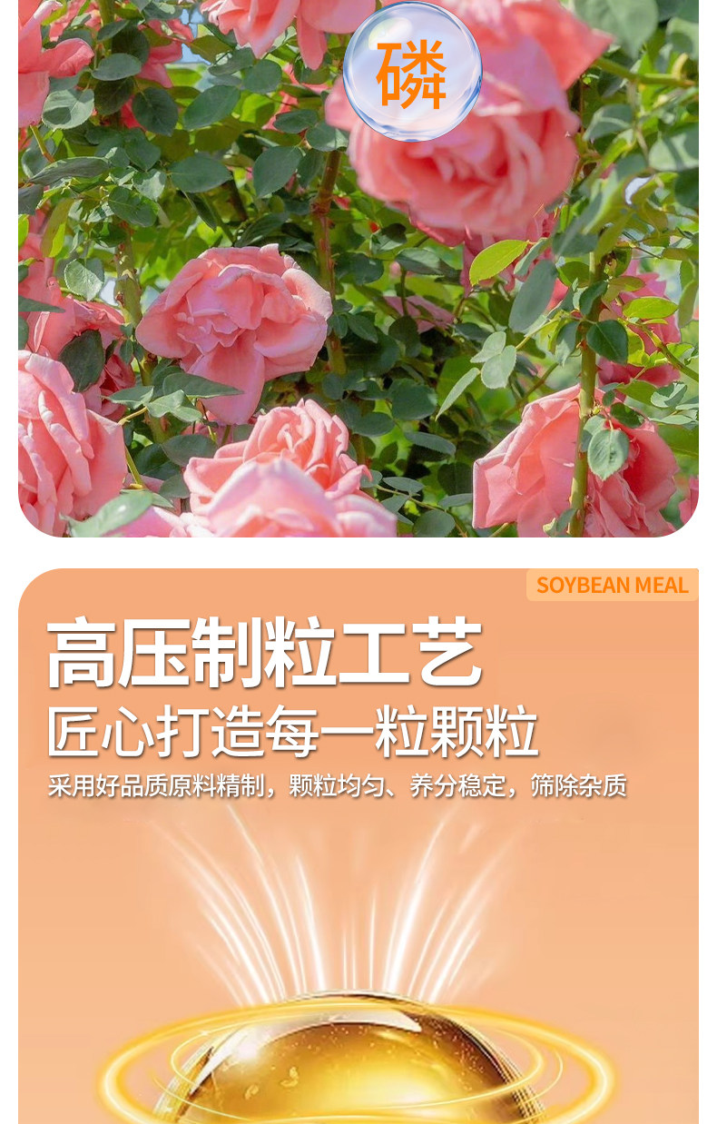 O1CN01FKwOaQ1yrVq8eVFwq_!!2222102436632.jpg