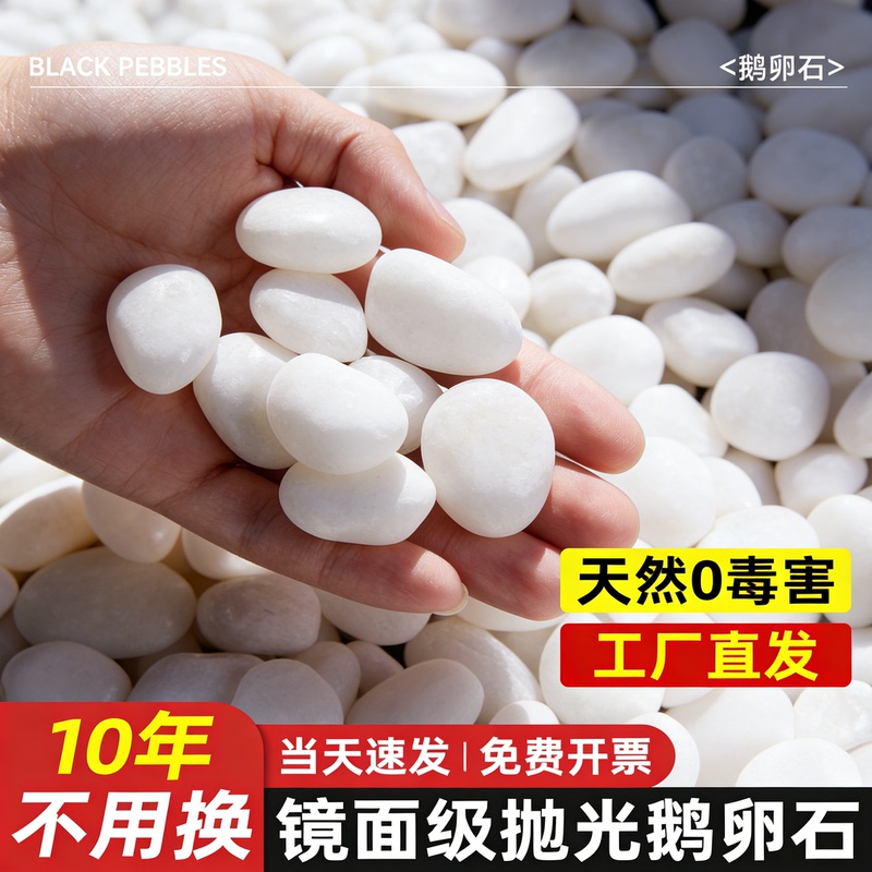 100kg Natural White Pebbles, Raindrop Stones, Garden Paving Stones, Fish Tank Landscaping Stones, Turtle Basking Stones