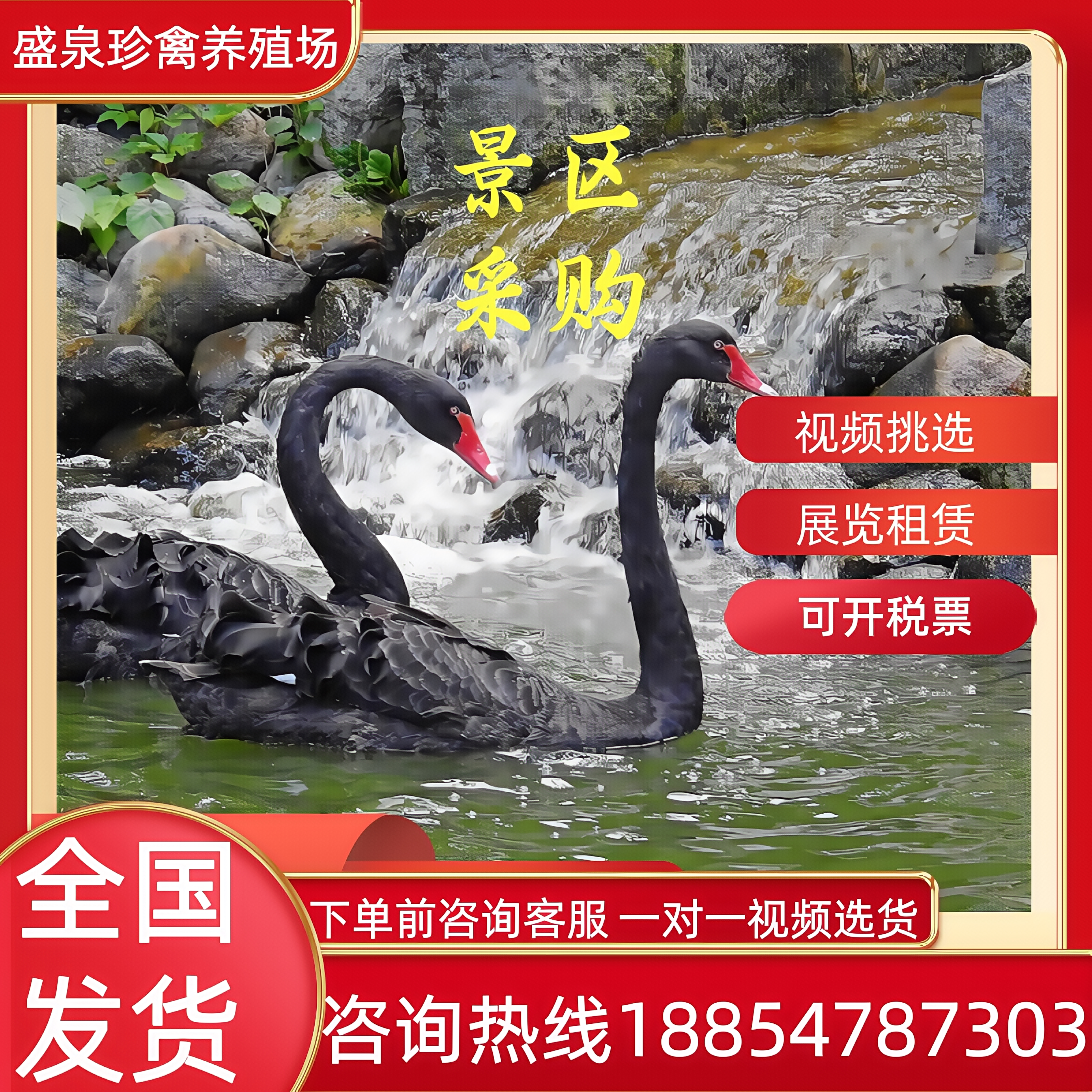 盛泉珍禽养殖场的LOGO