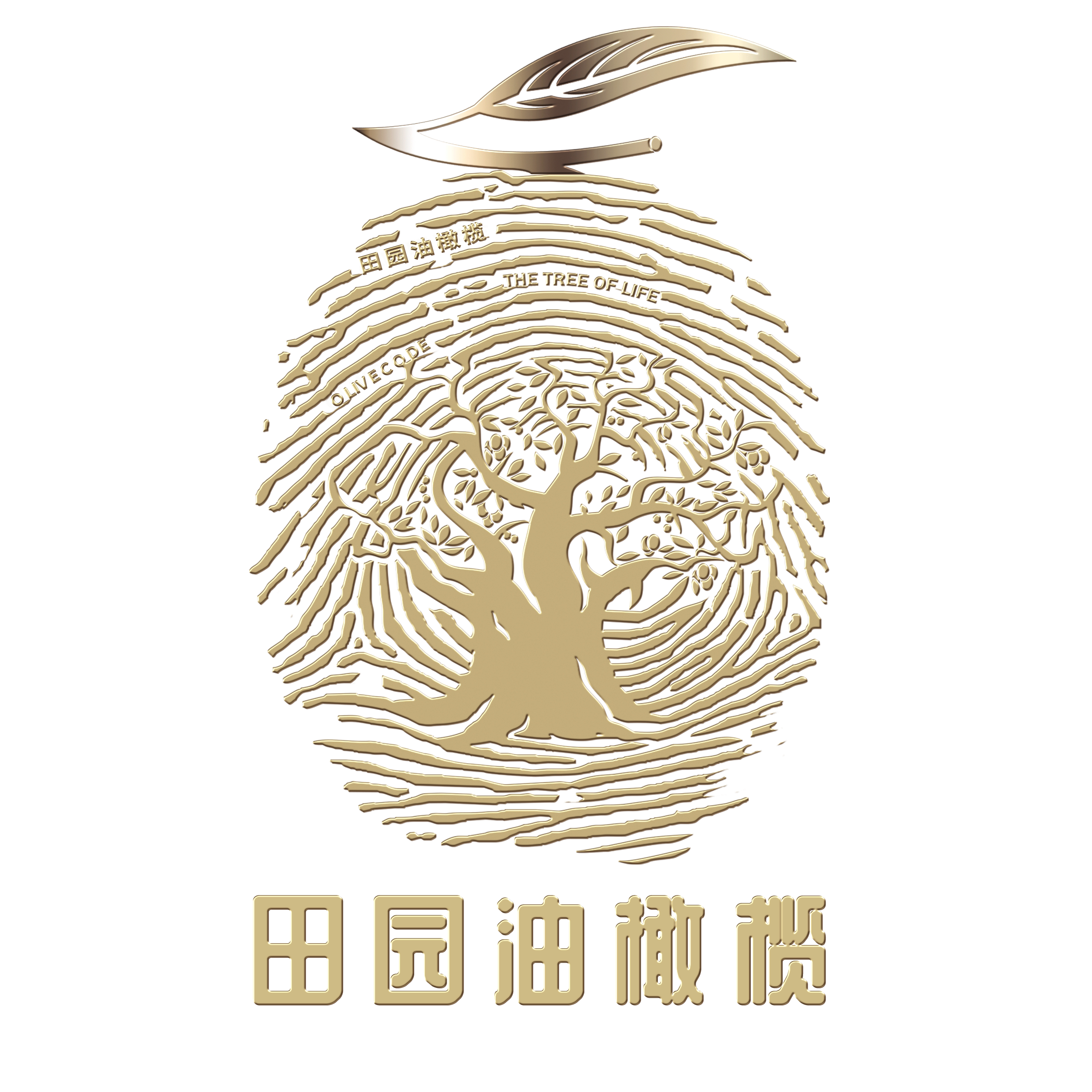 田园品味橄榄油企业店