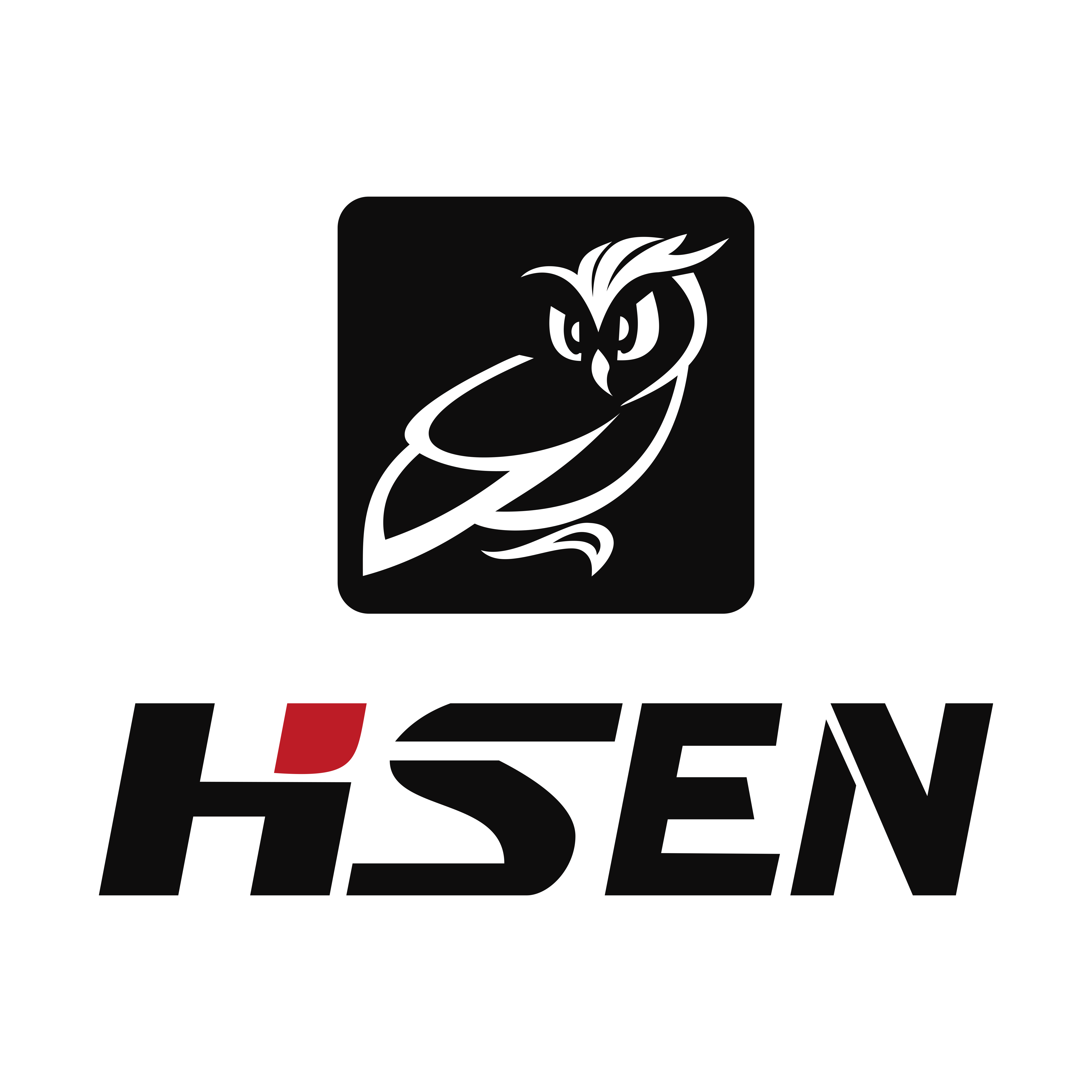 Hsen存储店
