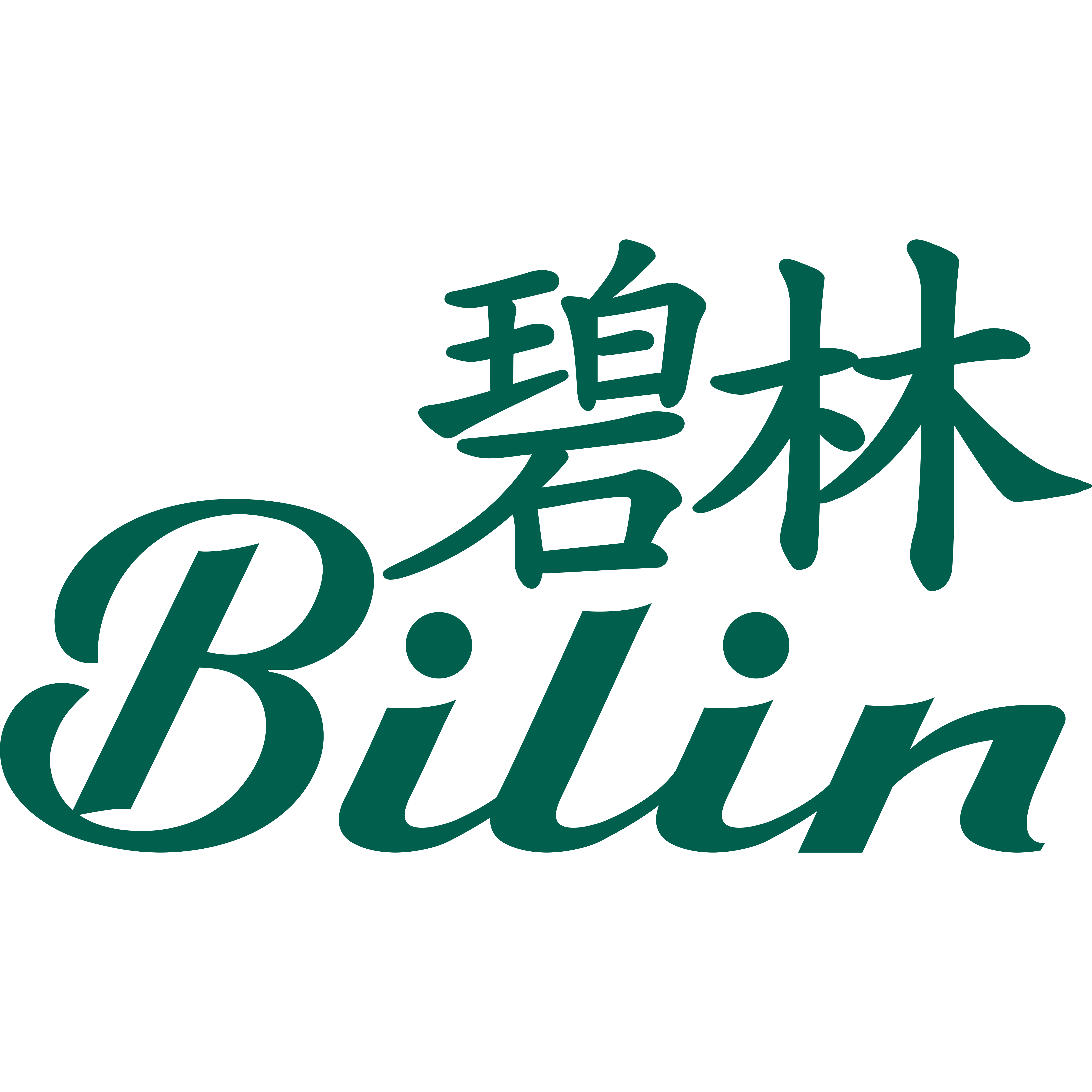 碧林旗舰店的LOGO