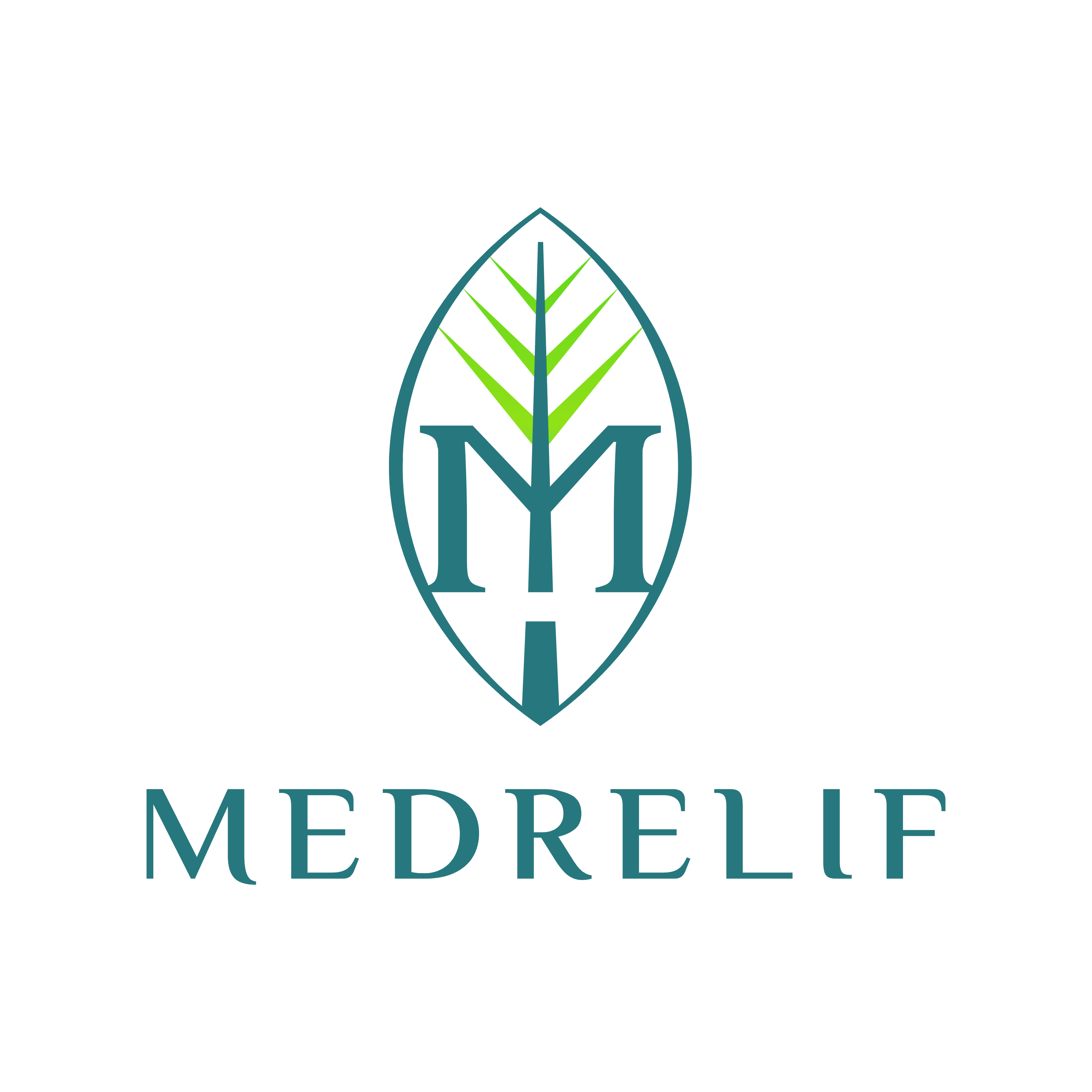 MEDRELIF海外旗舰店的LOGO