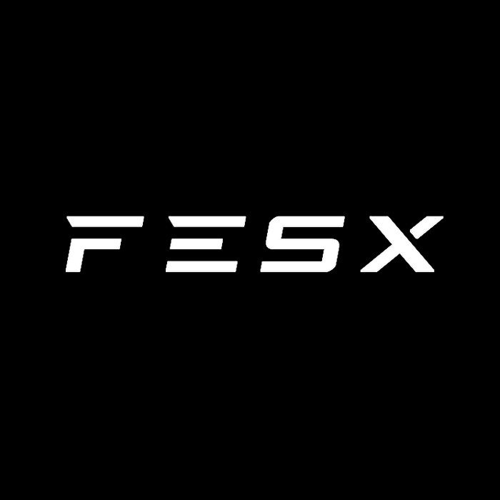 FESX旗舰店的LOGO