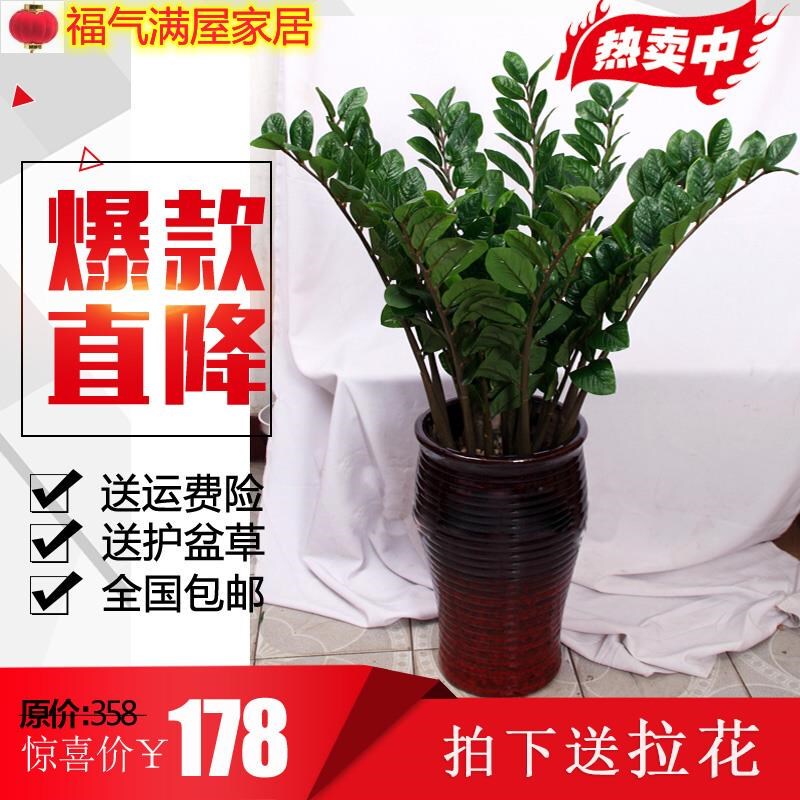 New Practical Artificial Money Tree, Fake Tree, Artificial Plant, Large Potted Plant, Office and Living Room Decoration, Floor-Standing Green Plant New Practical Artificial Money Tree, Fake Tree, Artificial Plant, Large Potted Plant, Office and Living Room Decoration, Floor-Standing Green Plant