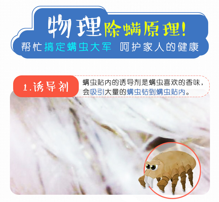 Nhật Bản nhập khẩu mạt dán để diệt ve ngoài mạt hút côn trùng chăn ga gối đệm dùng một lần 10 viên - Thuốc diệt côn trùng chai xịt côn trùng