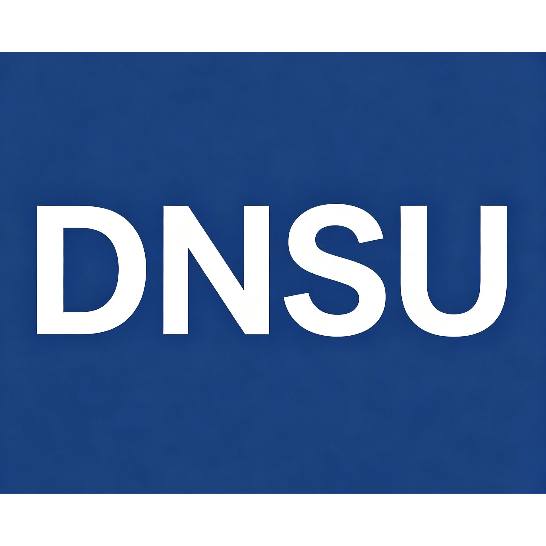 DNSU数码旗舰店的LOGO