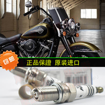 Harley Dana Big Spring Breaker Successor Fat Boy Soft Tail Imported Special Spark Plug Fire Nozzle