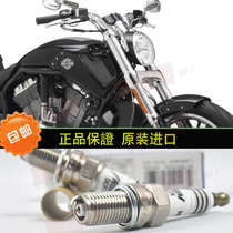 Harley willod V-ROD night luther imported special spark plug burner DCR8EIX