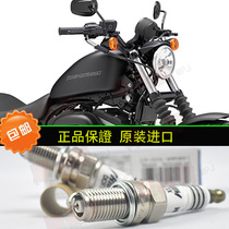 Harley XL1200 XL883 X48 72 imported special spark plug burner