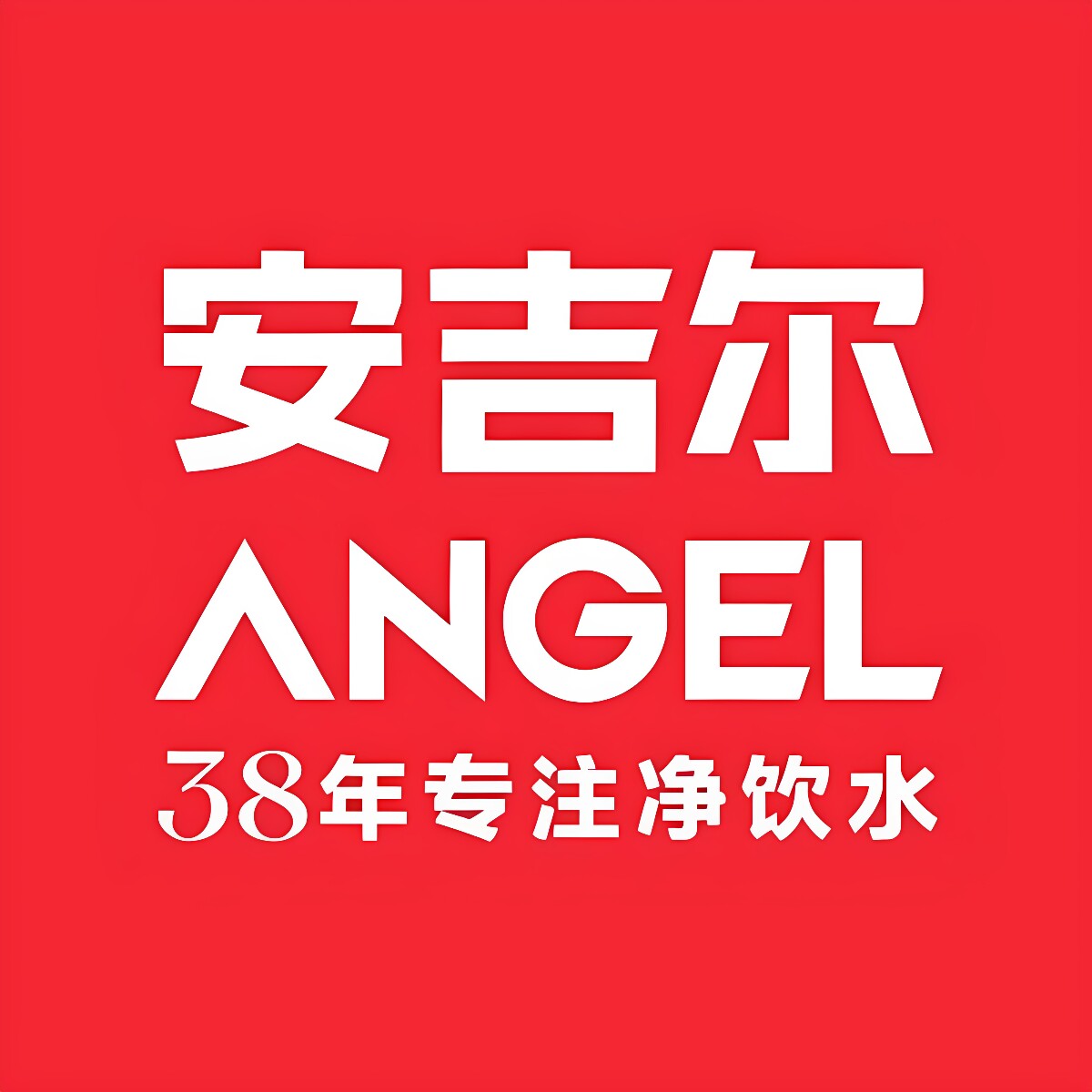 安吉尔益绍拓专卖店的LOGO