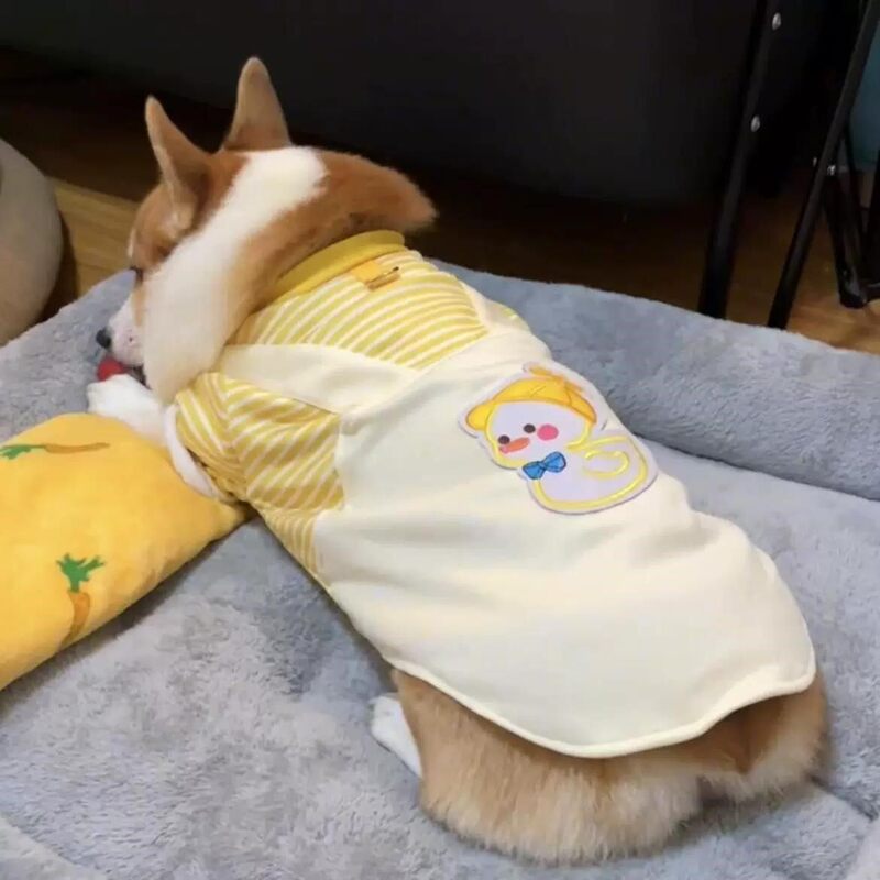 Traction-Friendly Dog Clothes for Autumn and Winter, Suitable for Medium-Sized Dogs Like Corgis, French Bulldogs, Schnauzers, Shiba Inus, and Dachshunds; Cute Winter Sweatshirts