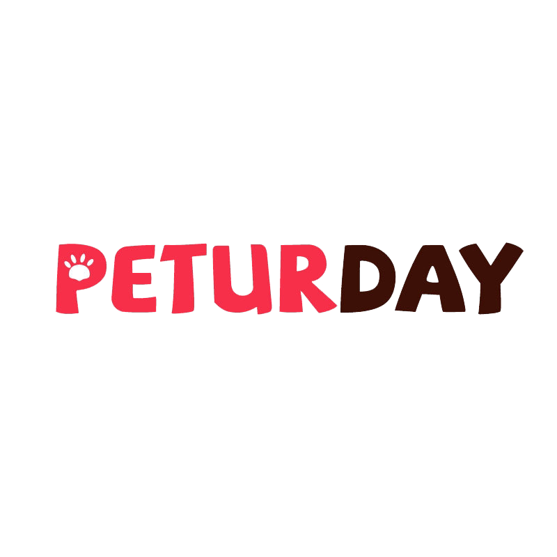 PETURDAY数码旗舰店的LOGO