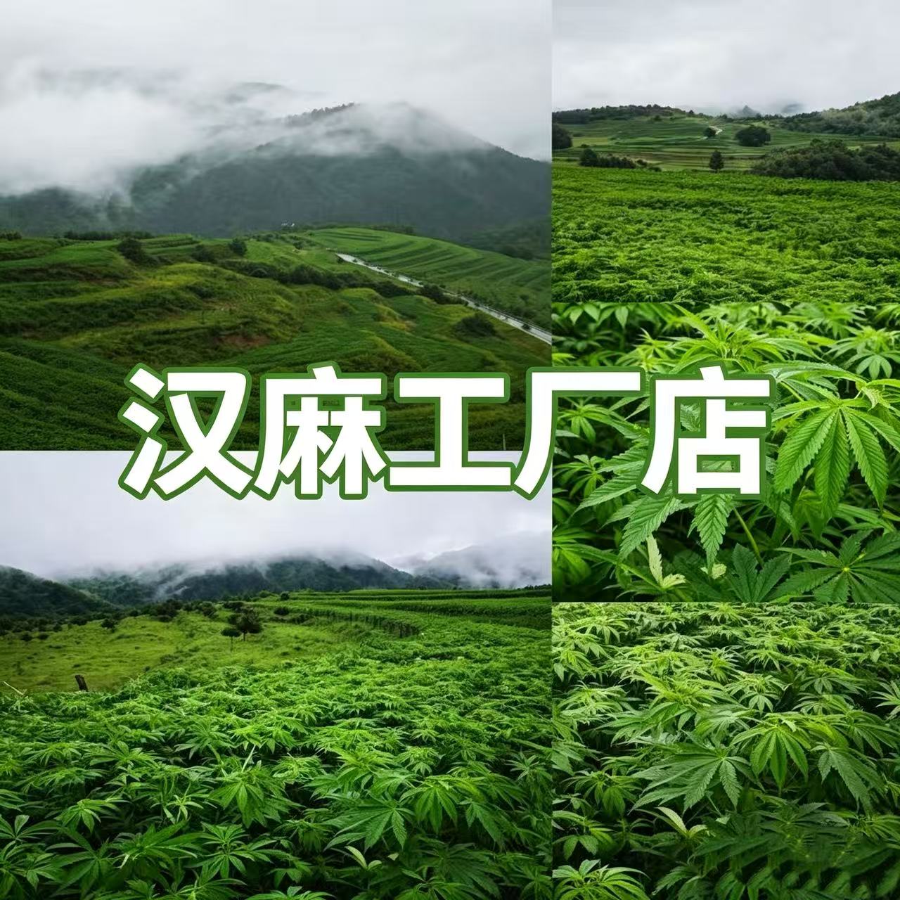 汉麻工厂店的小店