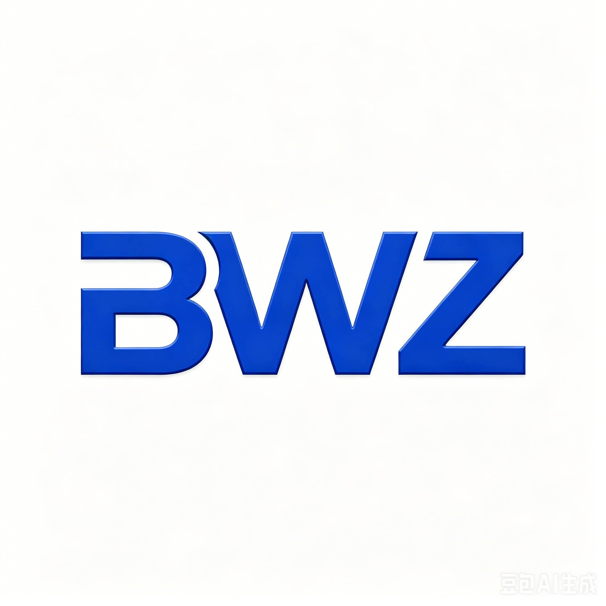 BWZ旗舰店