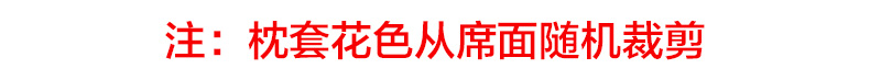 觉先生 冰丝凉席三件套 全尺寸同价 券后39.9元包邮 买手党-买手聚集的地方