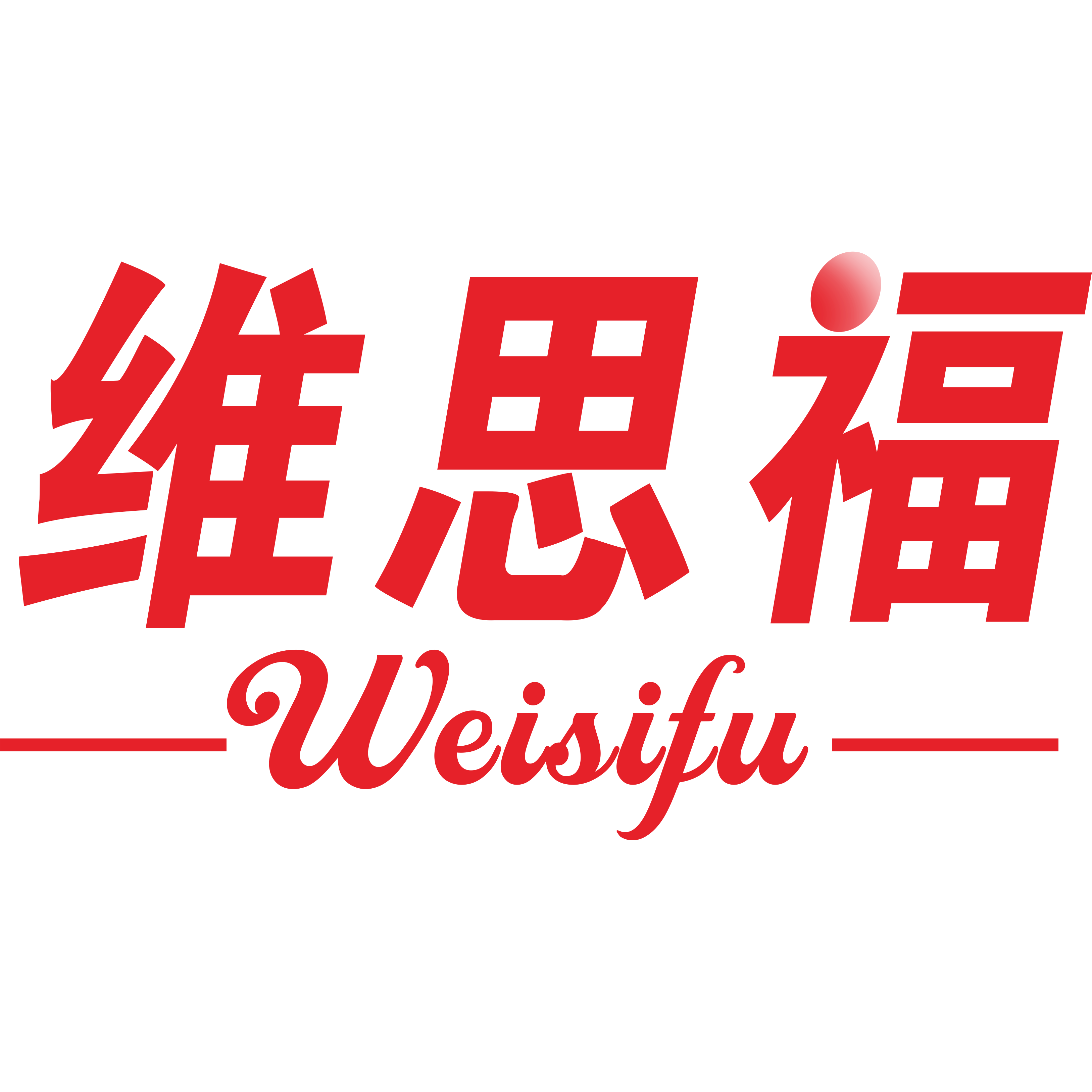 天刺力维思福刺梨食品优选