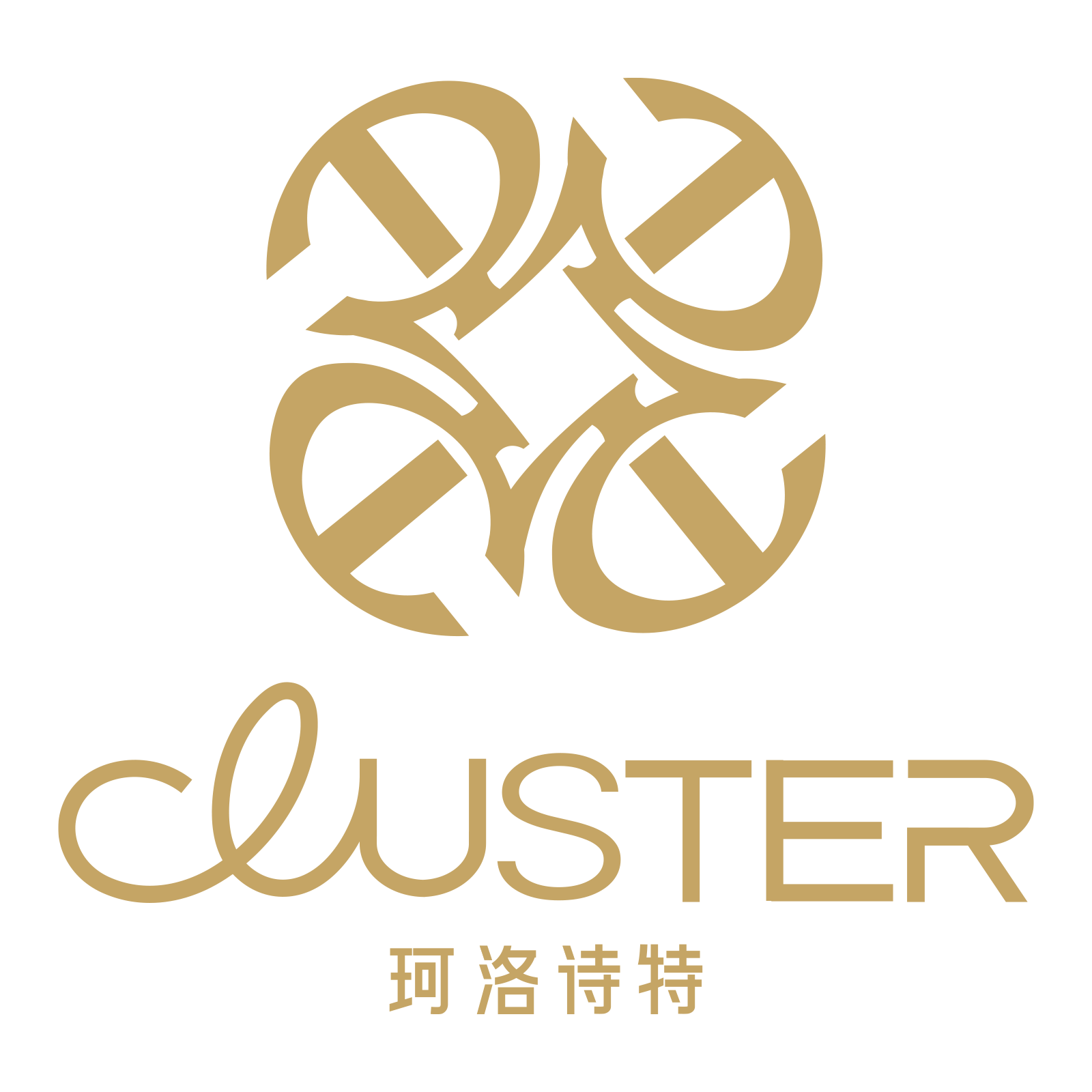 CLUSTER旗舰店