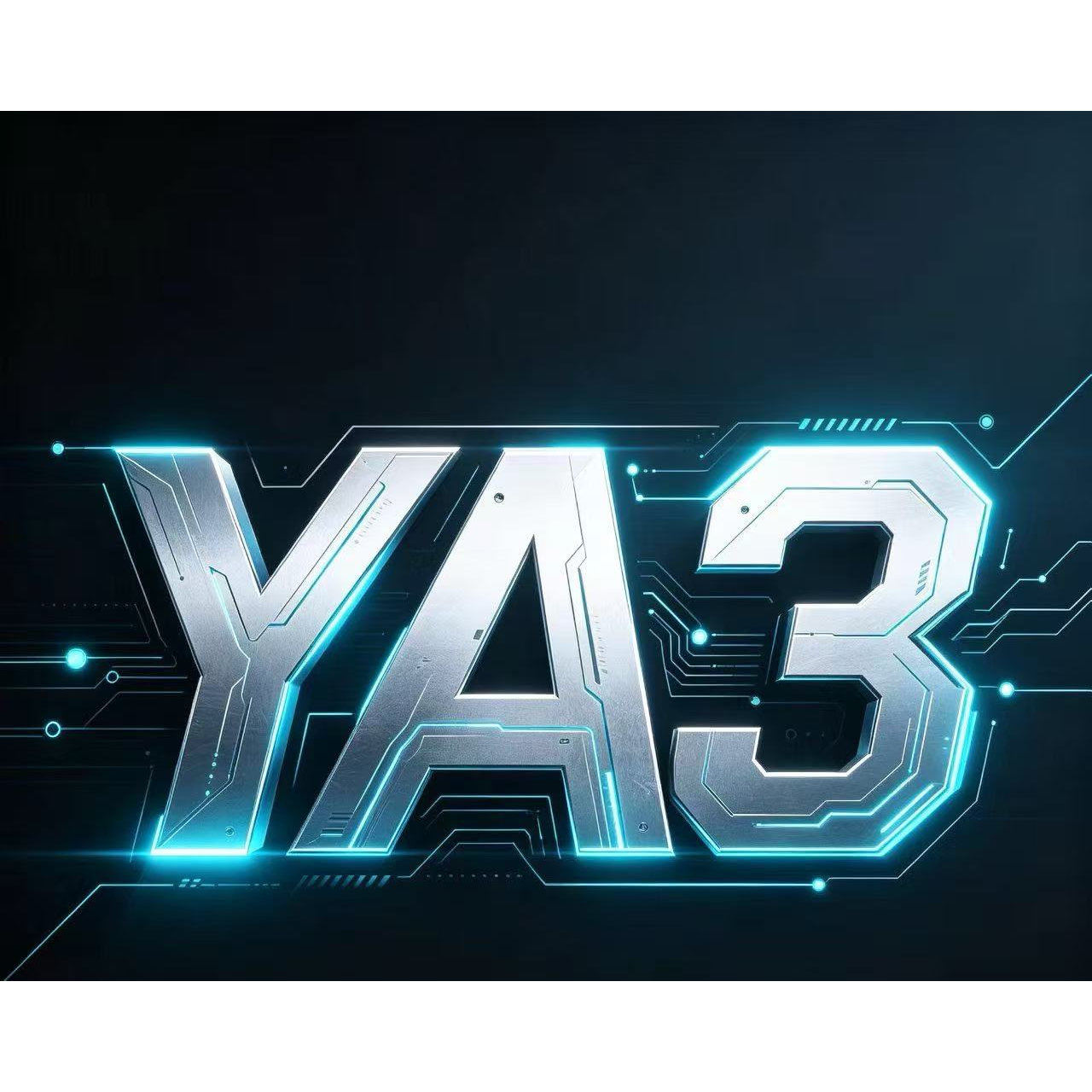 3YY3
