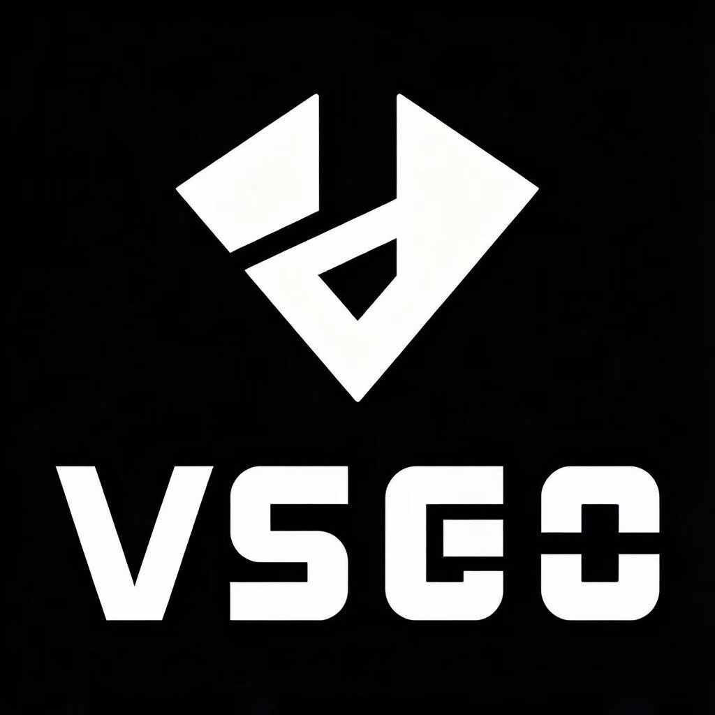 VSGO拾光专卖店