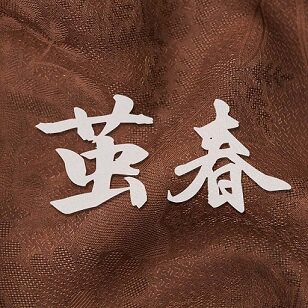 茧春私橱的LOGO