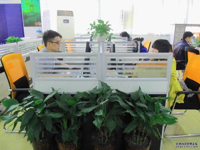高端网站定制怎么做好看视频？新手也能跟着做的详细教程