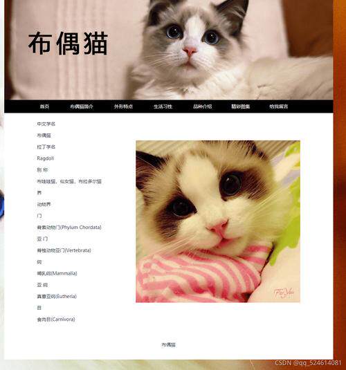 外贸网站搭建怎么做详细教程：新手也能跟着做的免费图片与建站指南